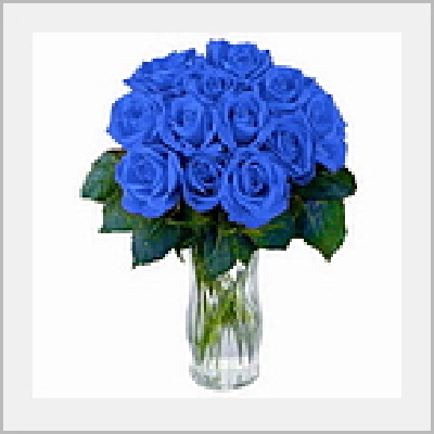 国际送花 12枝蓝色妖姬