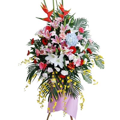 花篮 大展宏图